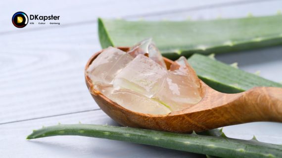10 Manfaat Aloe Vera untuk Rambut dan Wajah